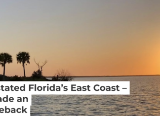 Seagrass has made an unexpected return to Mosquito Lagoon. Captain William B. Wolfson, Grassroots Guide Service, New Smyrna Beach, FL